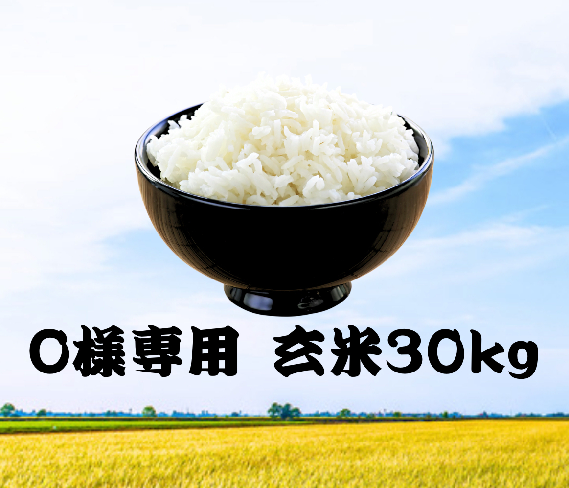 保護中: O様専用　久住高原 神馬米30Kg 【玄米】