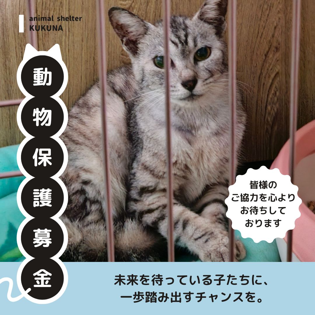 動物保護募金